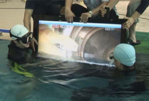 Waterproof Monitors, IP66, IP 66, Outdoor Display