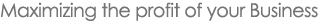 Maximizing the profit of your Business